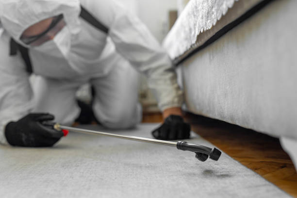 Professional Pest Control technician working in Baird, TX