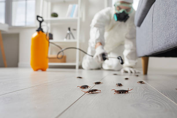 Affordable Pest Control solutions in Baird, TX